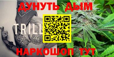 шишки Коммунар