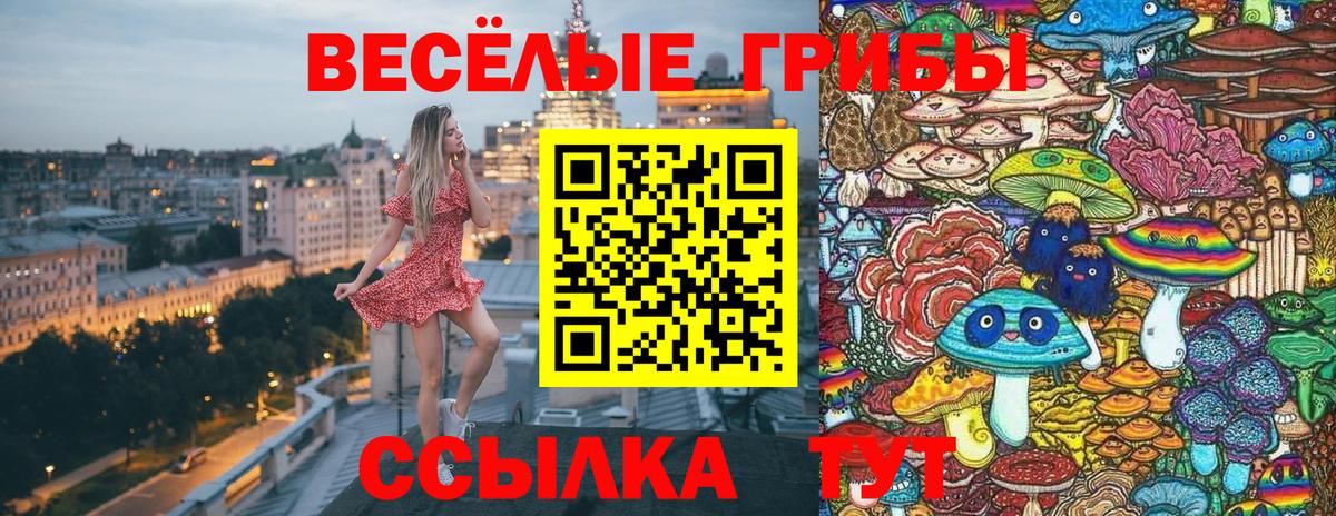 Когалым  Псилоцибиновые грибы GOLDEN TEACHER  Псилоцибиновые грибы мицелий  Вход с VPN 